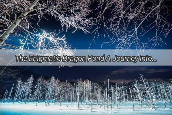 The Enigmatic Dragon Pond A Journey into the Symbolic Creatures of Dreams